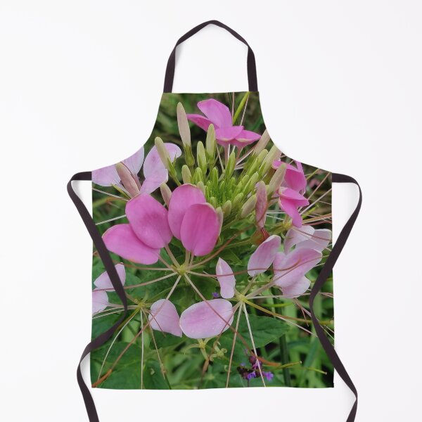 Item preview, Pink Cleome, or Spider Flower designed and sold by Betty Mackey.