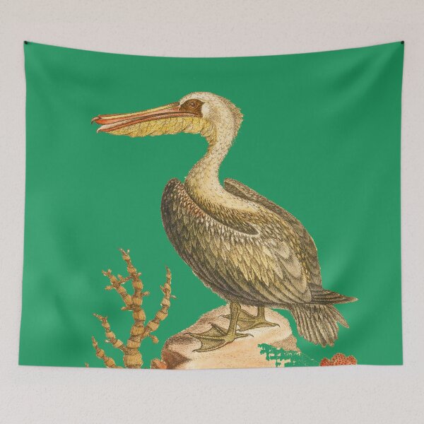 Item preview, The Pelican  Bird HD vintage image from encyclopedia number  4 designed and sold by MINDTHECHERRY.