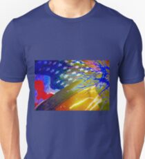 American beauty, through celebration and sorrow Unisex T-Shirt