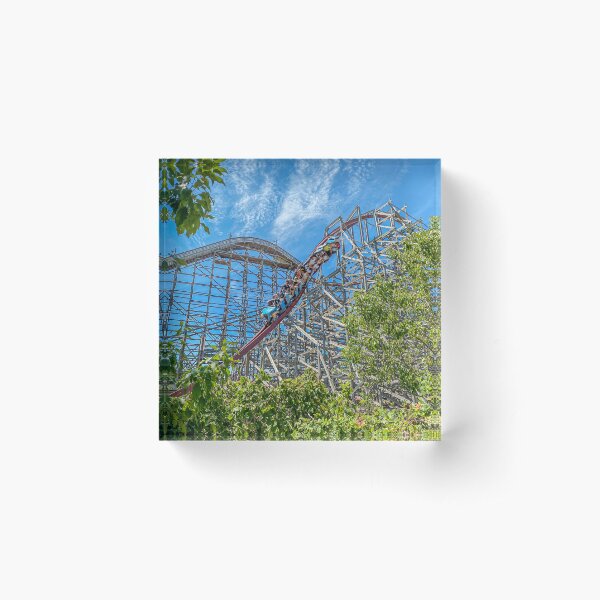 Twisted Timbers Acrylic Block
