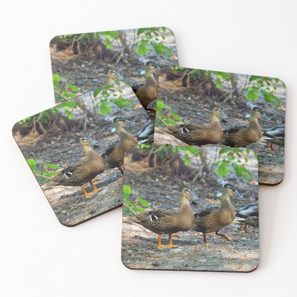 Item preview, A Crested Mallard Duck designed and sold by BackyardBirder.