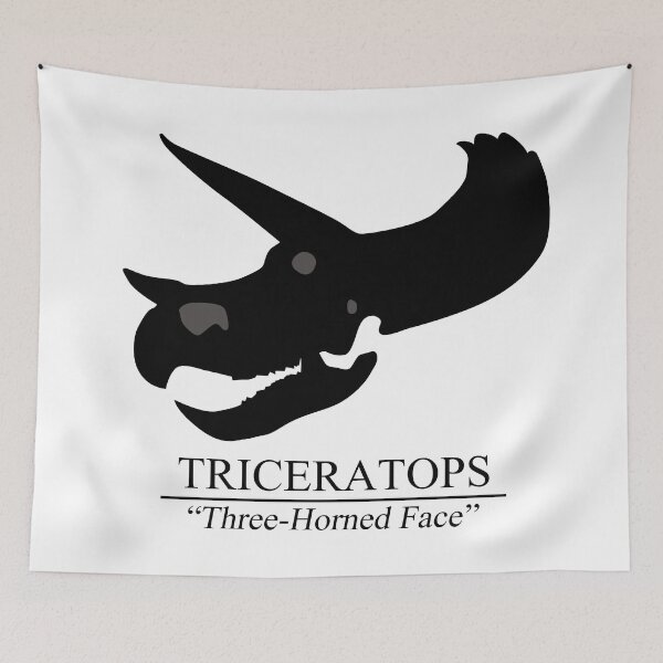 Item preview, Triceratops Skull designed and sold by TheKohakuDragon.