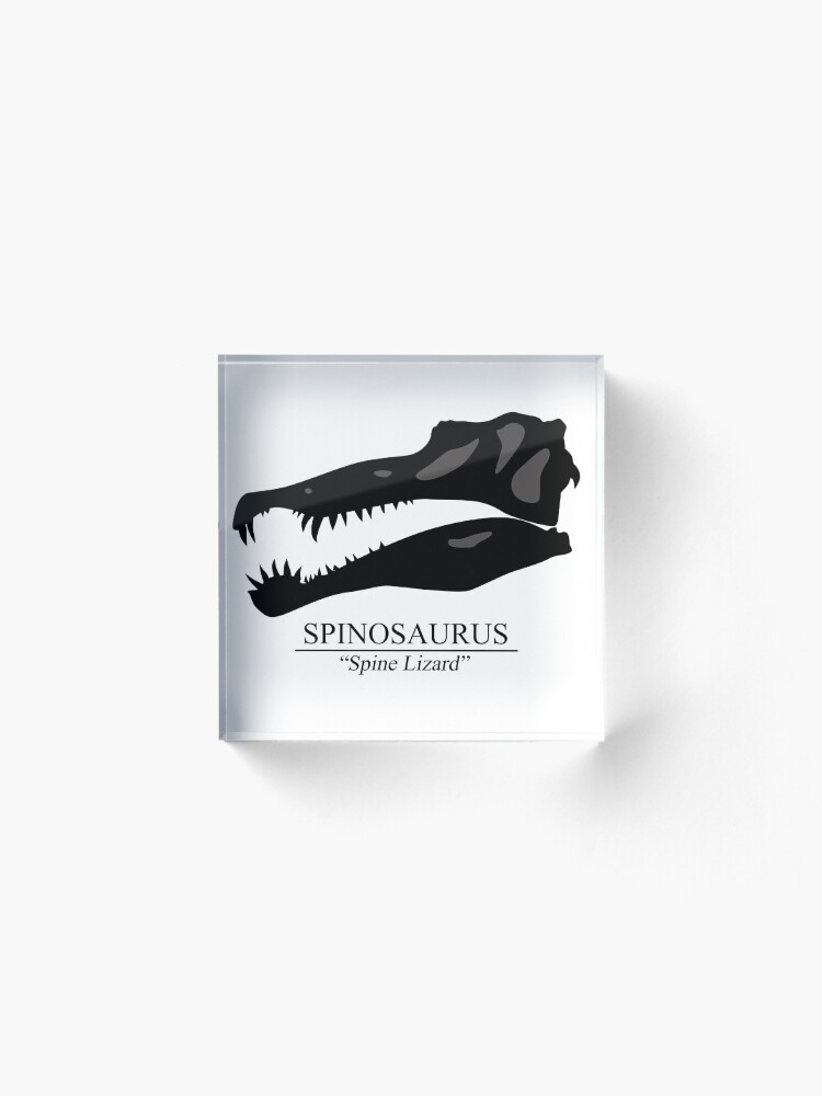 Alternate view of Spinosaurus Skull Acrylic Block