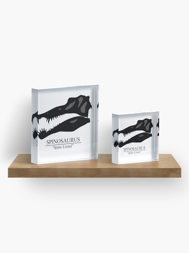 Alternate view of Spinosaurus Skull Acrylic Block