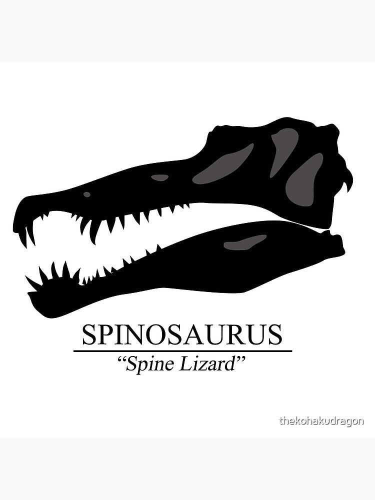 Spinosaurus Skull by thekohakudragon