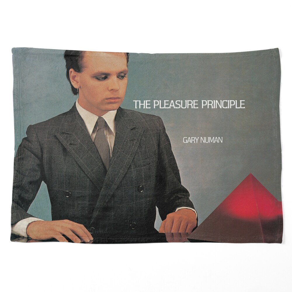 Gary Numan: The Pleasure Principle