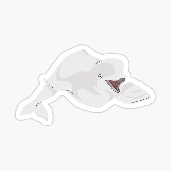 Beluga Sticker