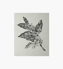 Coffea Galeriedruck