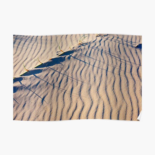 In the Dunes Poster
