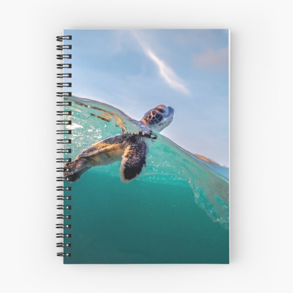 Item preview, Determination designed and sold by jeldosev-photos.