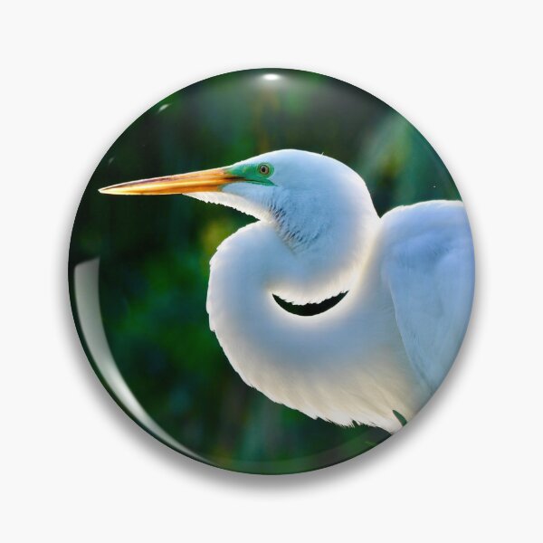 Item preview, Great Egret Backlit Beauty designed and sold by richardbryce.