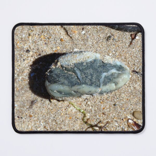 Item preview, pebble designed and sold by KathleenDawson.