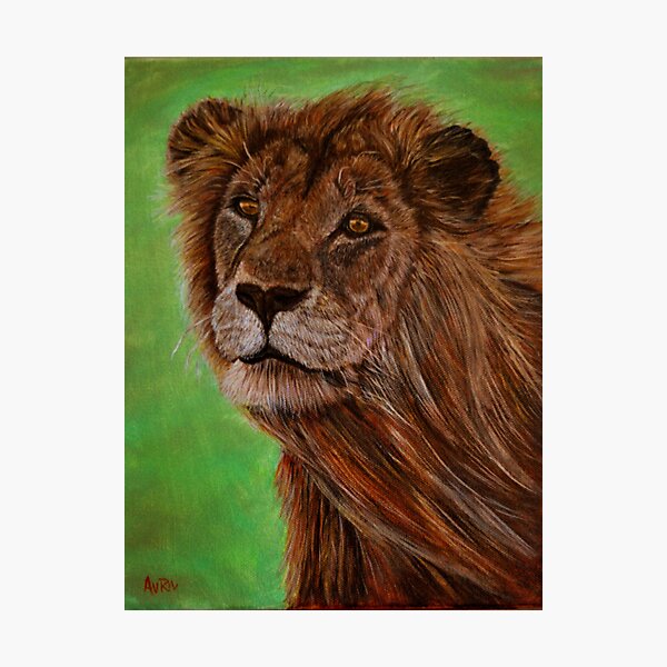 Lion Photographic Print