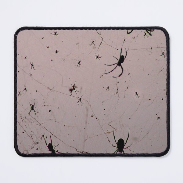 Item preview, Spiders in the sky designed and sold by Lustkill.