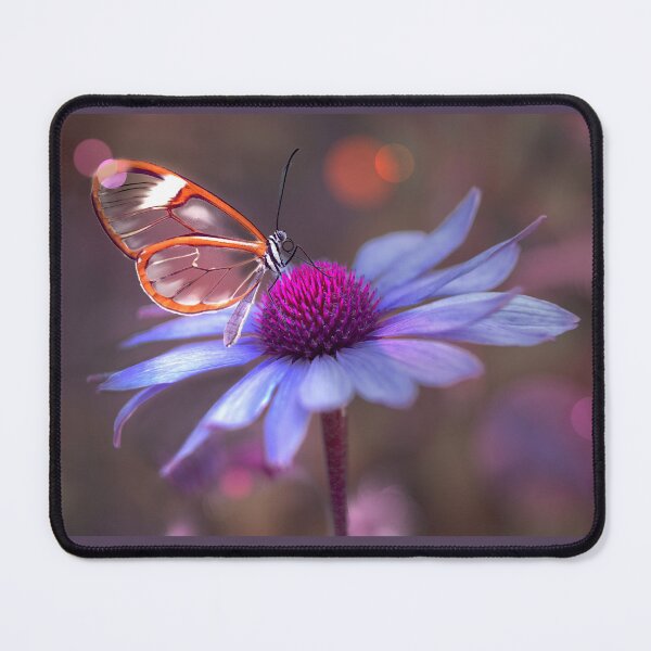 Item preview, Glasswing Butterfly On Echinacea  designed and sold by Alisonchambers2.