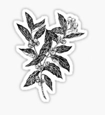 Coffee Plant Stickers Coffee Plant Stickers