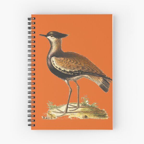 Item preview, The Black Breasted Indian Plover - HD vintage image from encyclopedia number 7 designed and sold by MINDTHECHERRY.