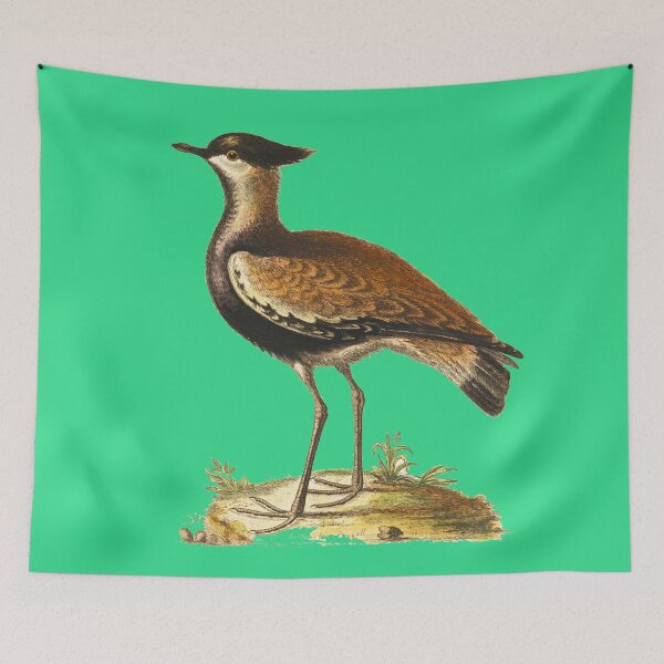 Item preview, The Black Breasted Indian Plover - HD vintage image from encyclopedia number 7 designed and sold by MINDTHECHERRY.