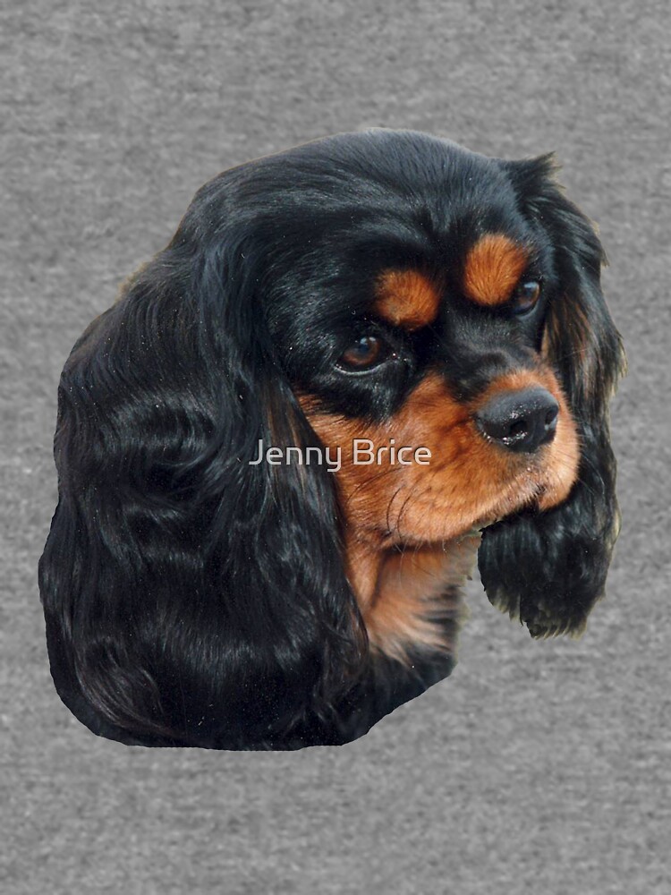 Cavalier king charles spaniel sweatshirts sale