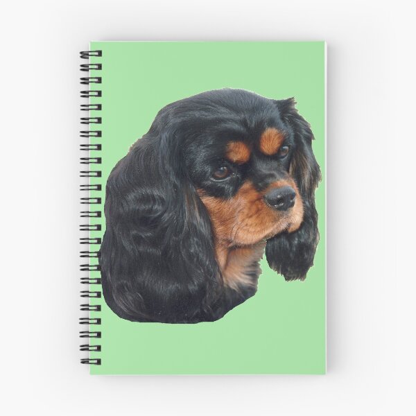 Item preview, Black & Tan Cavalier King Charles Spaniel designed and sold by Jenny Brice.