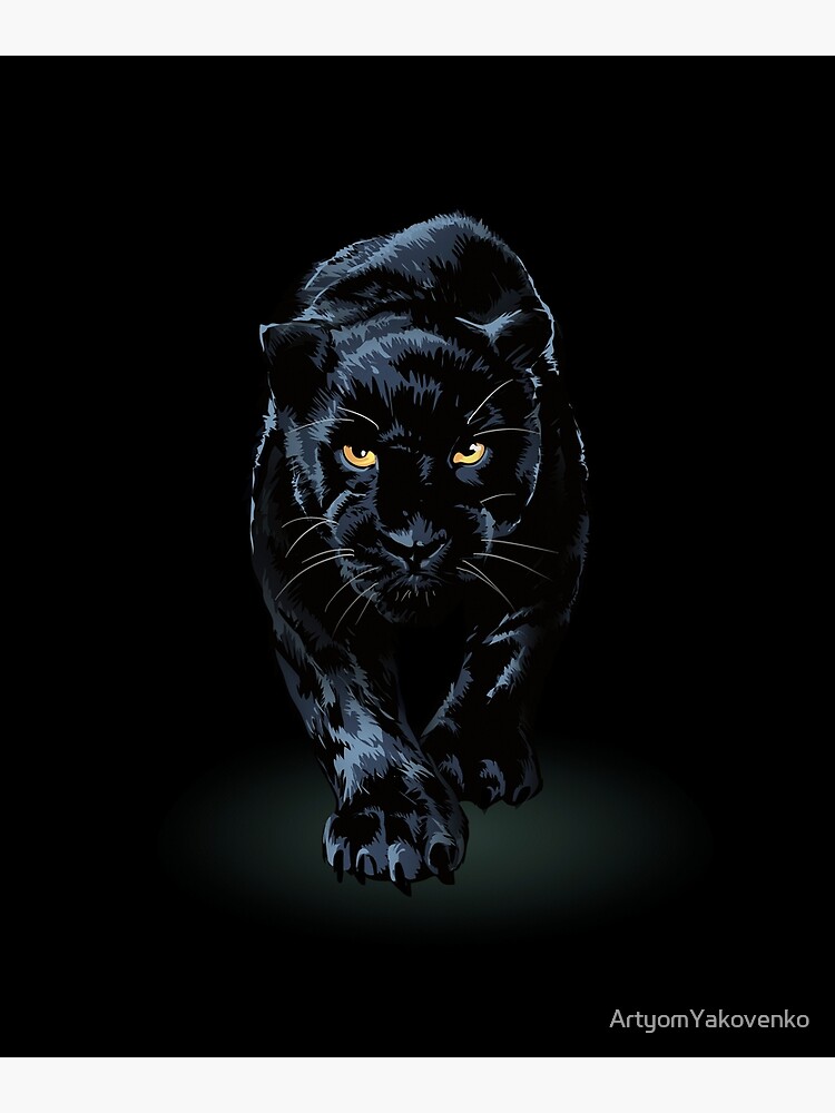 Wild Black Panther Wallpapers & Animal Pictures by Gunvanta Patel