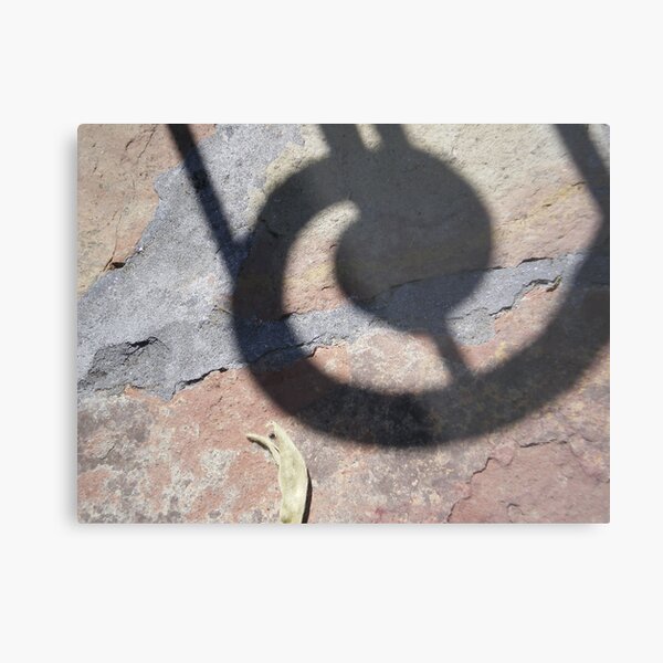Garden Shadow Metal Print