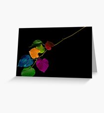 Colors Greeting Card