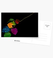 Colors Postcards