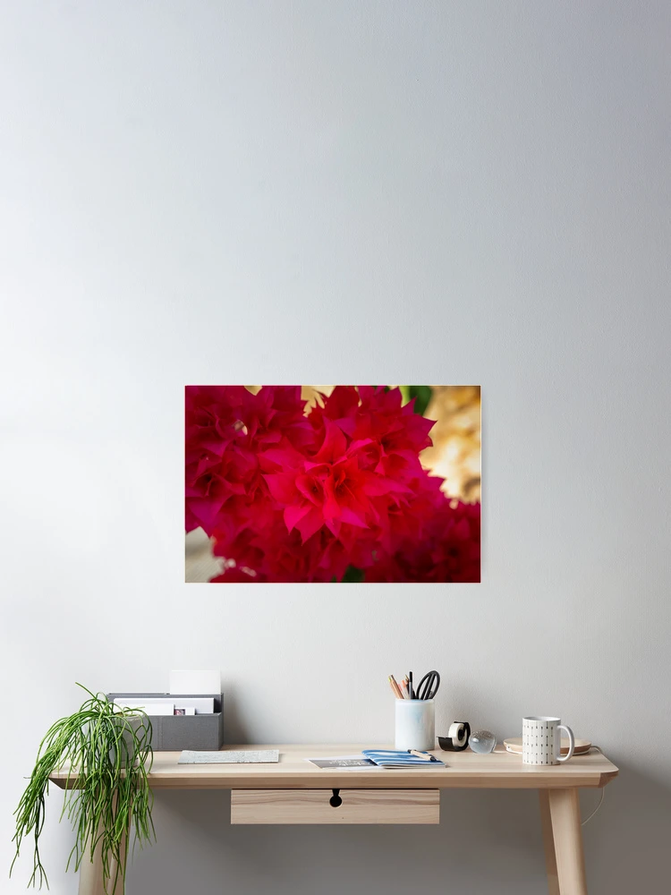 Thumbnail 2 of 3, Poster, Red petals designed and sold by Ralph Goldsmith.