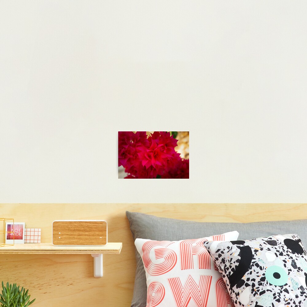 Item preview, Photographic Print designed and sold by RalphGoldsmith.