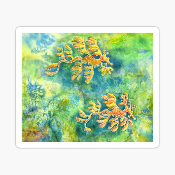 Leafy Sea Dragons Sticker