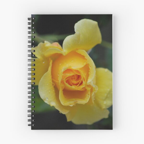 Item preview, Tuscan Gold designed and sold by Lozzar Flowers & Art.