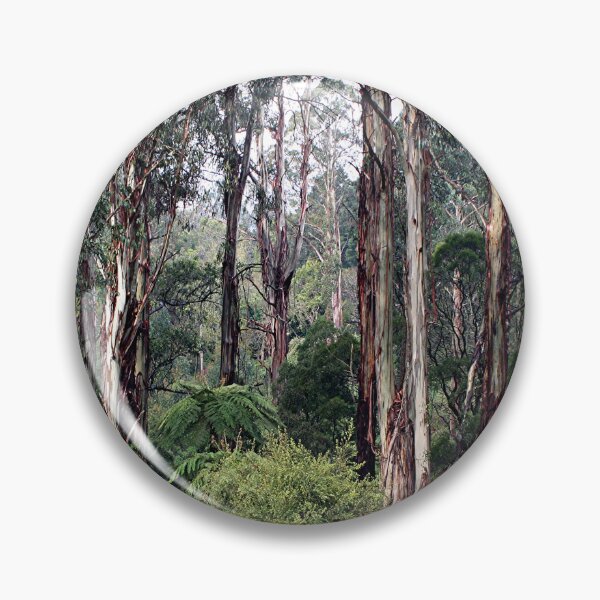 Item preview, Dandenong Ranges Rainforest, Victoria, Australia designed and sold by FranWest.