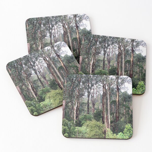 Item preview, Dandenong Ranges Rainforest, Victoria, Australia designed and sold by FranWest.