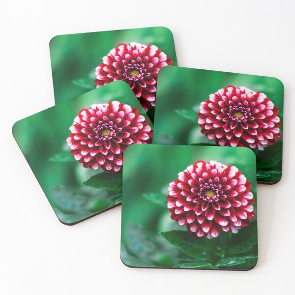 Item preview, Red flower designed and sold by VelinDimitrov.