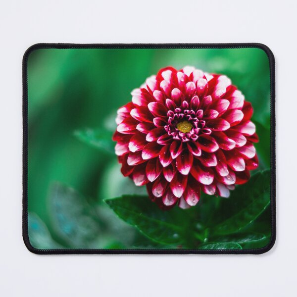 Item preview, Red flower designed and sold by VelinDimitrov.