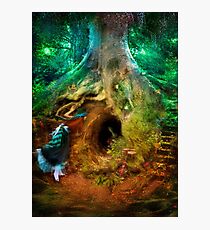 Down the Rabbit Hole Photographic Print