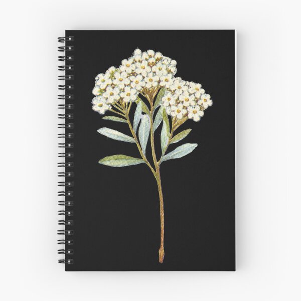 Aperçu de l'œuvre Daizy flower créée et vendue par Ani Floral.