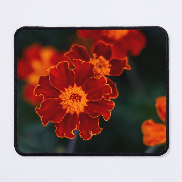 Item preview, flowers designed and sold by VelinDimitrov.