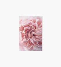 Pink Rose Art Board Print