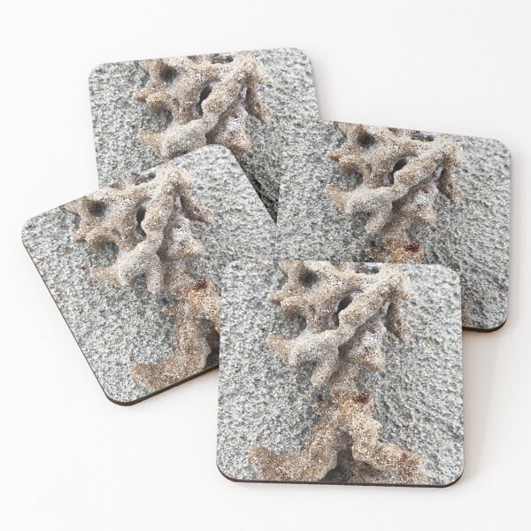 Item preview, Sea sponge designed and sold by indiafrankk.