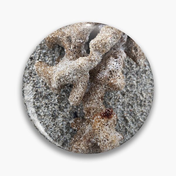 Item preview, Sea sponge designed and sold by indiafrankk.