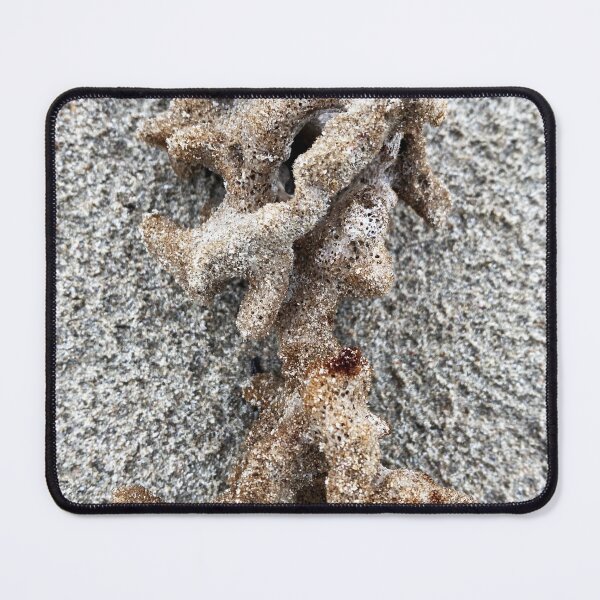 Item preview, Sea sponge designed and sold by indiafrankk.