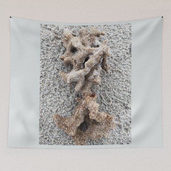 Item preview, Sea sponge designed and sold by indiafrankk.