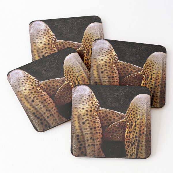 Item preview, LEOPARDS 9ELEVEN ELEVEN designed and sold by NICK COBURN PHILLIPS.