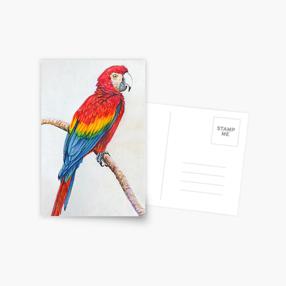 Original watercolor painting depicting the colorful Ara parrot, 5x7 inches  - Shop Surzhikova ART Wall Décor - Pinkoi