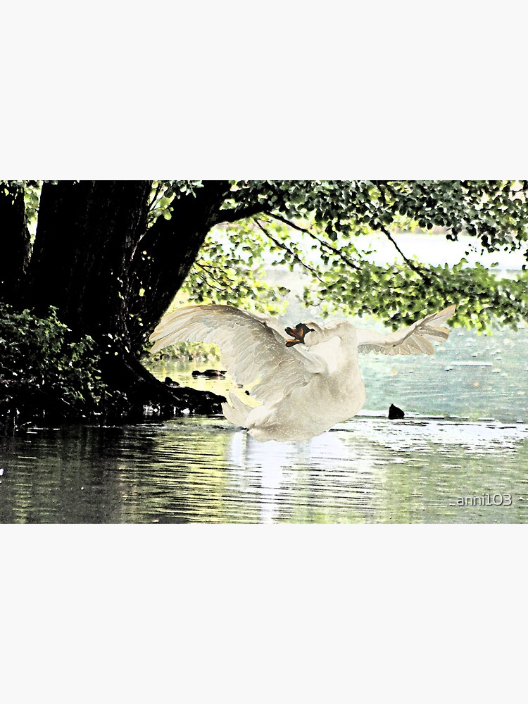 Swan Lake part two by anni103