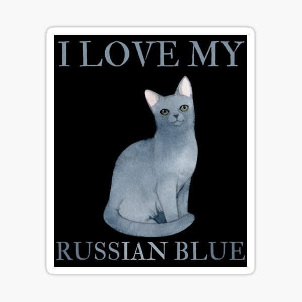 I love my Russian Blue cat watercolor design. Sticker