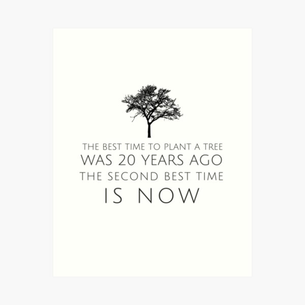 Vista previa del artículo con la obra «El mejor momento para plantar un árbol fue hace 20 años. El segundo mejor momento ahora es el proverbio chino.», diseñado y vendido por One Bright  Spark.
