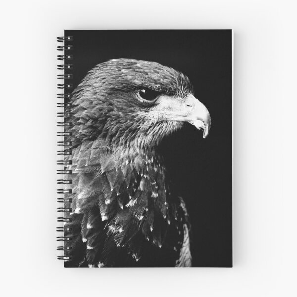 Item preview, Chilean Blue Buzzard Eagle designed and sold by Tonywallbank.